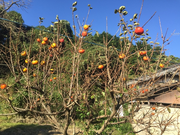 2015-10-03 16.03.03.jpg