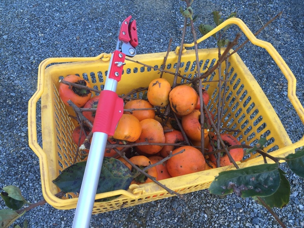 2015-10-03 16.16.04.jpg