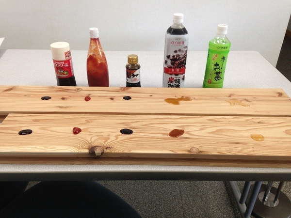 実験写真_190218_0025.jpg