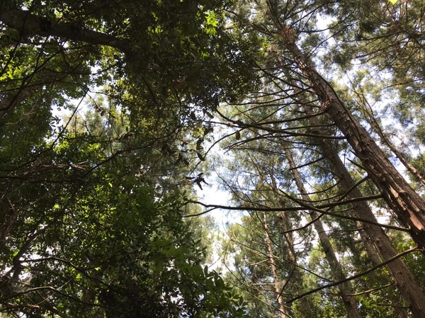 S__108044290.jpg