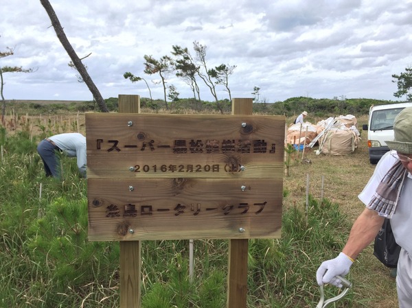 S__33325082.jpg